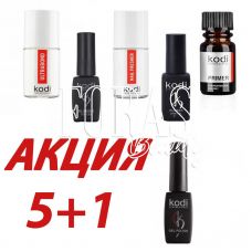 Набір KODI Professional + Подарунок